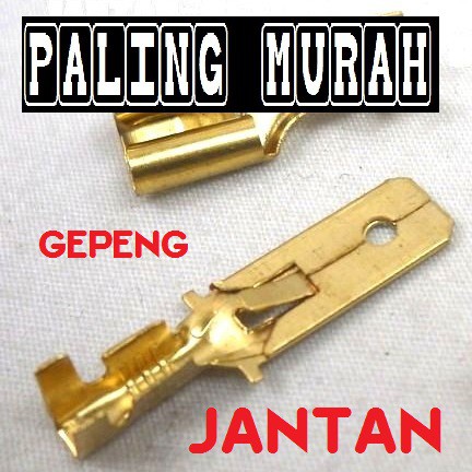 Terminal gepeng jantan skun aki scun klem kuningan male kabel soket socket cowok JEJERAN MOTOR