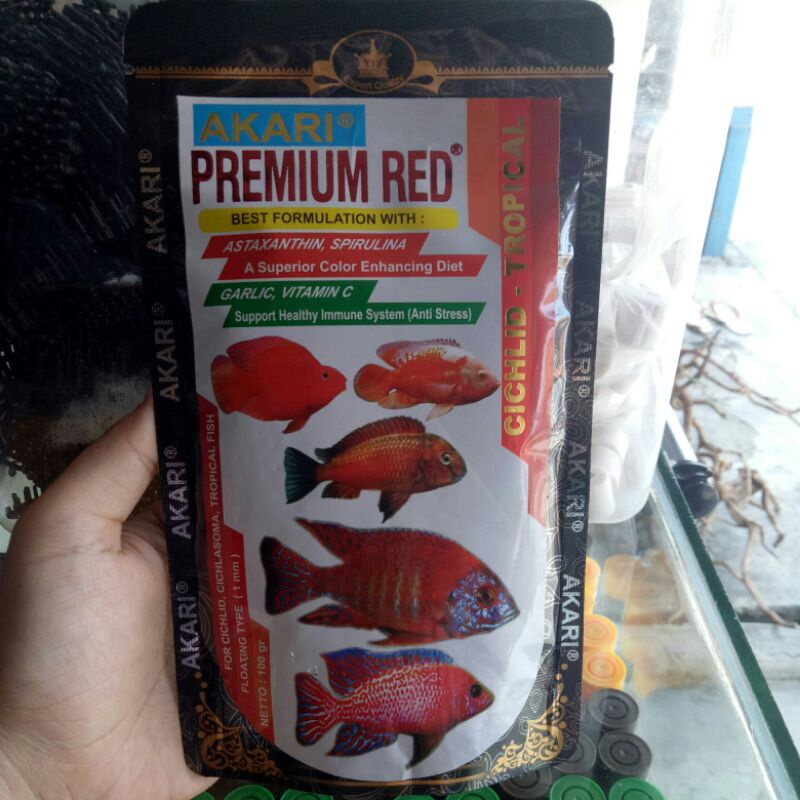 akari premium red cichlid