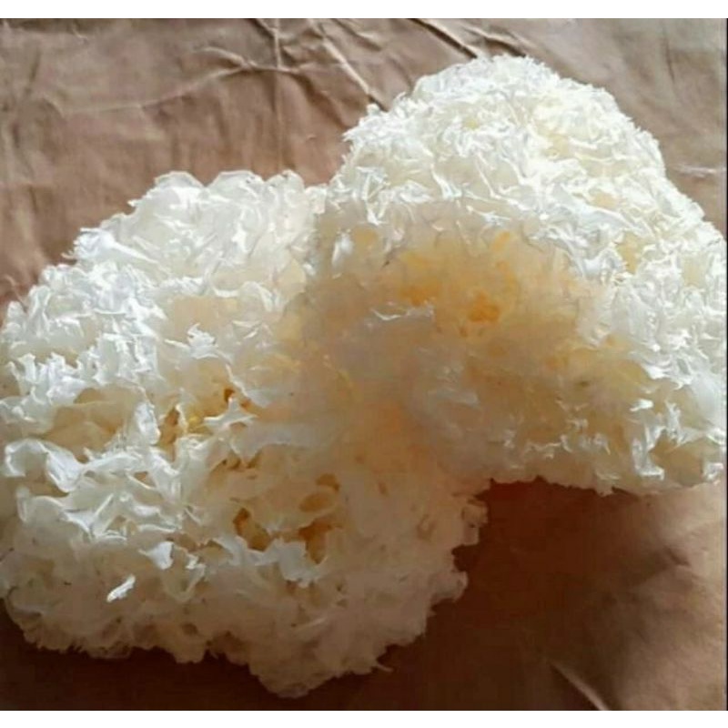 WHITE FUNGUS / JAMUR SALJU / JAMUR PUTIH / JAMUR ES FU YONG FONG 250 GR