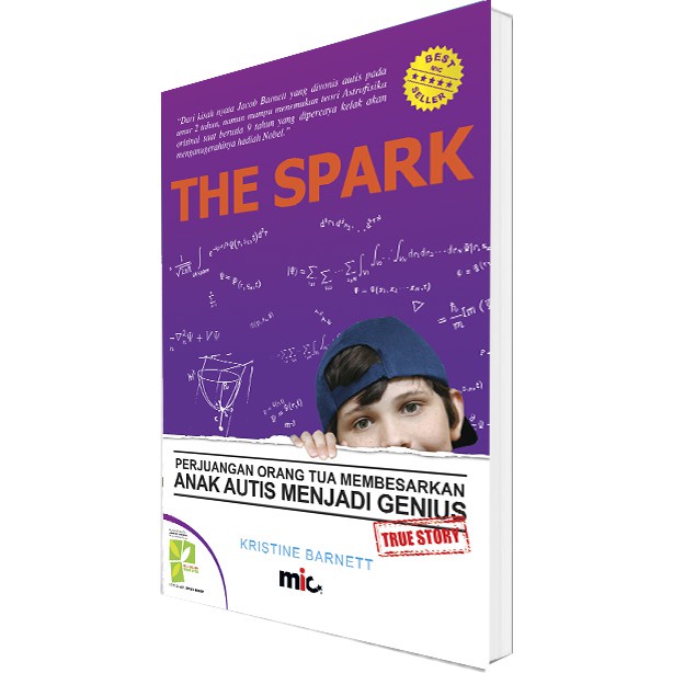 Buku Parenting - The Spark - Kristine Barnett (Bahasa Indonesia)