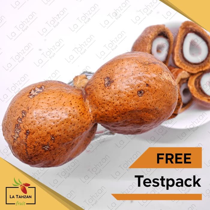 

Unik Buah Zuriat Kembar 500 g Free Testpack Berkualitas