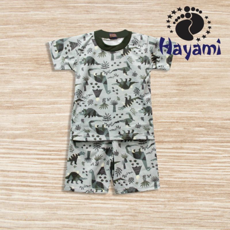 Setelan Anak Laki Hayami Dinosaurus - baju anak cowok terbaru - pakaian anak laki2 murah bahan bagus
