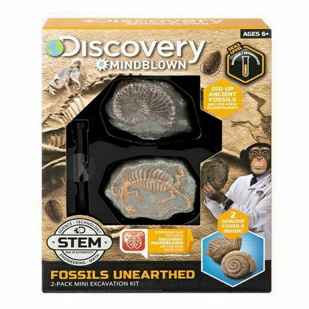 Discovery Mindblown Excavation Fossil Kit Mini fossils unearthed