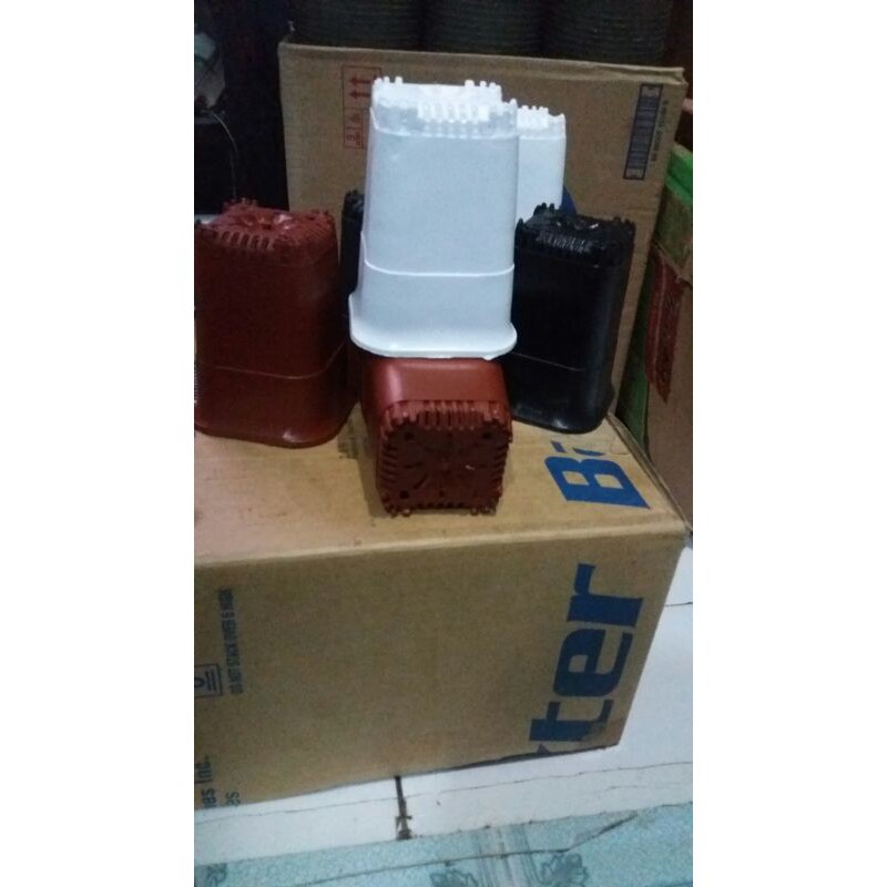 pot kotak tinggi 10cm