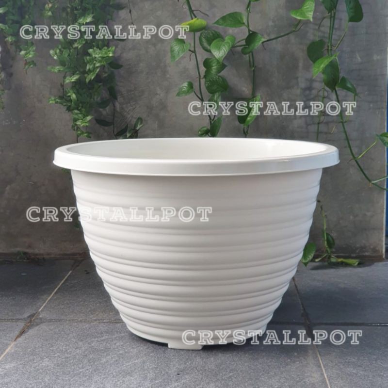 Pot bunga tanaman taiwan BEE 554 tawon putih kuping 55cm - Jumbo