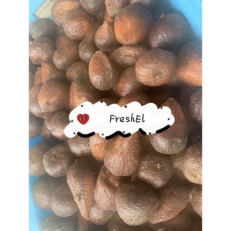 

FreshEl - SALAK PONDOH 1 kg