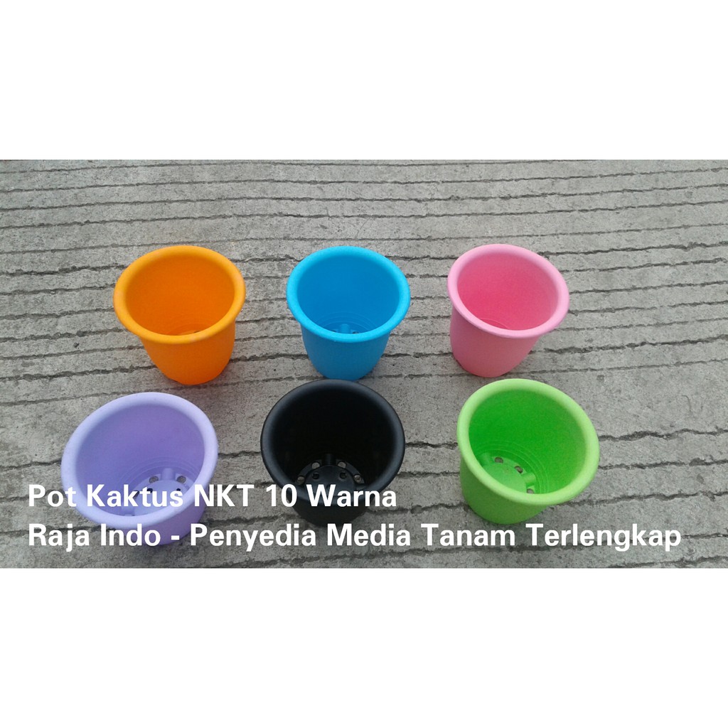 Pot Cactus 10 Nkt Warna Putih Hijau Pink Biru Hijau Coklat Ungu Merah Kuning Pot Kaktus Nkt Tanaman