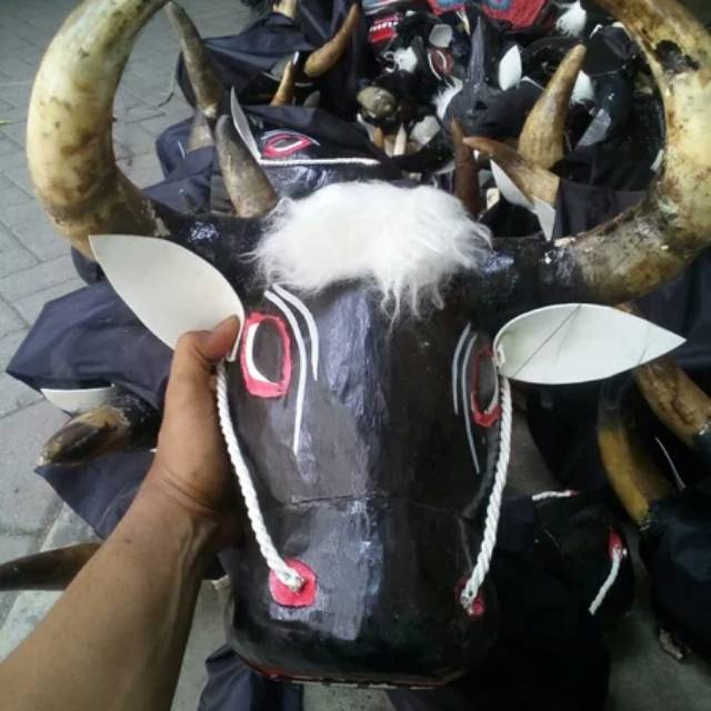 Bantengan jumbo tanduk asli.