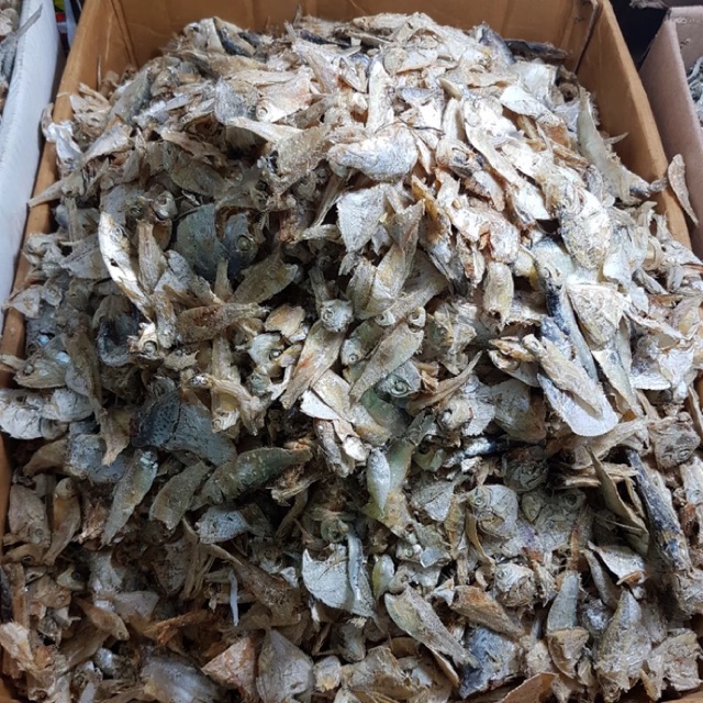 

Ikan Asin ikan sampah Medan