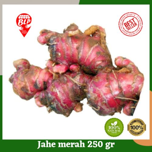 

Jahe Merah 250 gr Berkah Lumbung Pangan