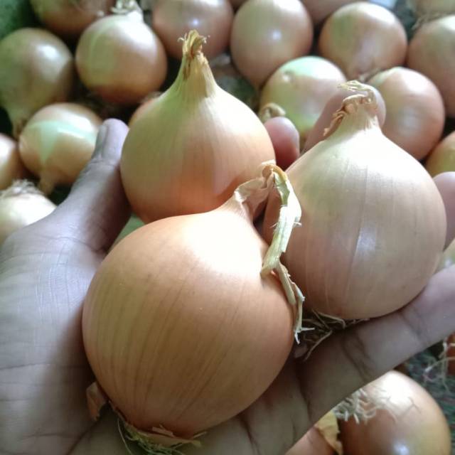 

Bawang bombay 1kg