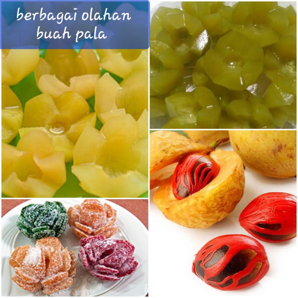 

buah pala segar 500 gram