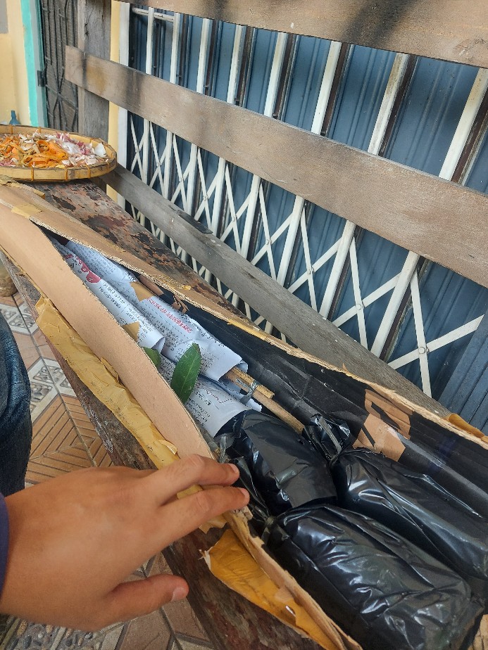 Paket Bibit Jambu Madu Deli Dan Citra Merah