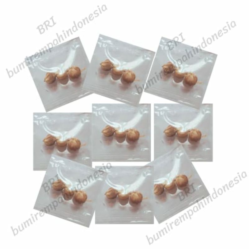 

sachet kapolaga/kapulaga