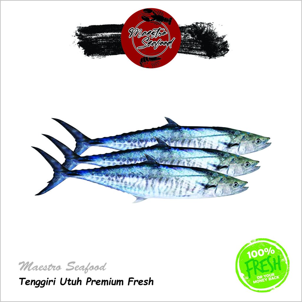 

Tenggiri Utuh Premium Fresh - 1000 gr