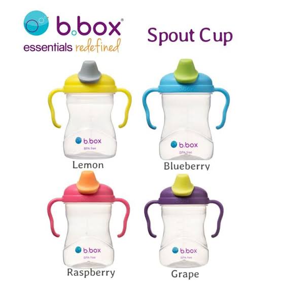 B.Box Spout Cup