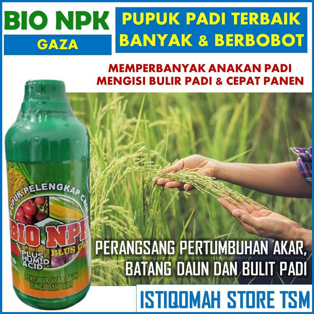 Promo Pupuk Pembobot Buah Padi BIO NPK GAZA 500ML Pupuk Penambah Bobot Padi - Obat Semprot Penambah 