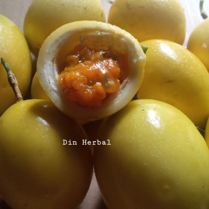 

jual buah markisa 1kg