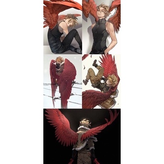 Hawks Wings Postcard set booked by @expleiarmus