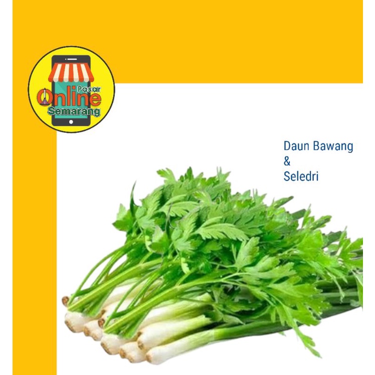 

Daun Bawang Dan Seledri / Belanja Murah Semarang / Fresh dan Segar