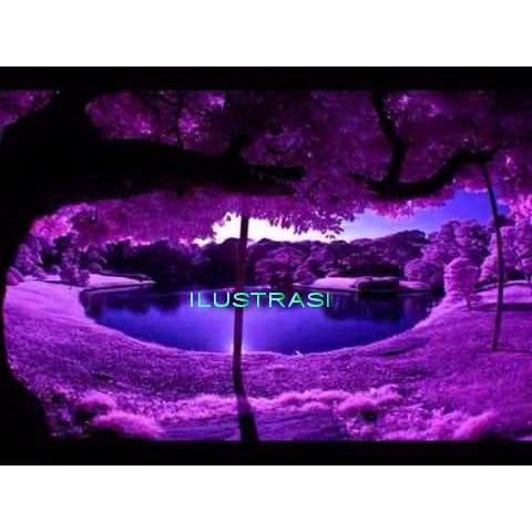 

Pewarna Ungu violet "1ons" NON FOOD water soluble , purple larut air