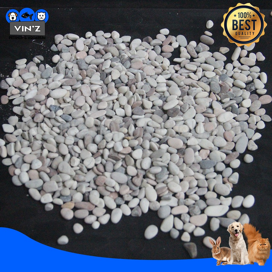 Batu Alam Aries Hiasan Aquarium Aksesoris Aquarium 500g