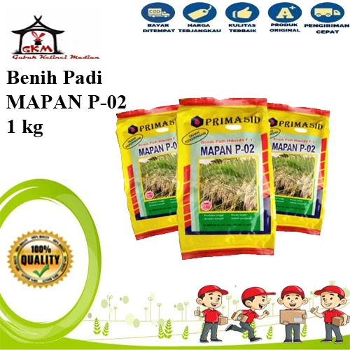 Benih Mapan P 02 Benih Padi Hibrida Kemasan 1 Kg