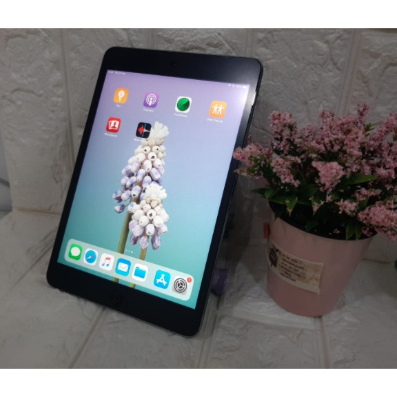 IPAD MINI 2 16/32/64/128 GB SPACE GRAY