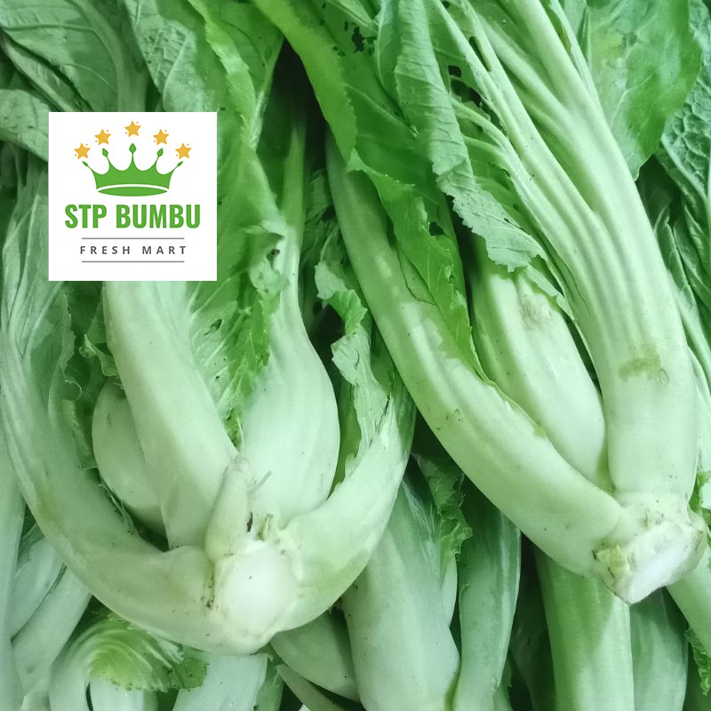 

Sawi Pait Pahit Fresh 1kg / Sayur Segar