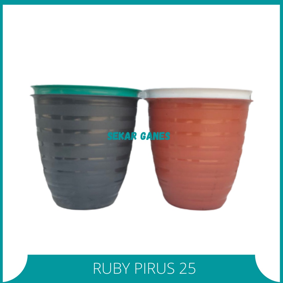 Pot Tawon Pirus JM Ruby 25 Putih Hitam Merah Bata Tebal Pot Ulir Tawon Madu Mdn 20 21 24 25 27 30