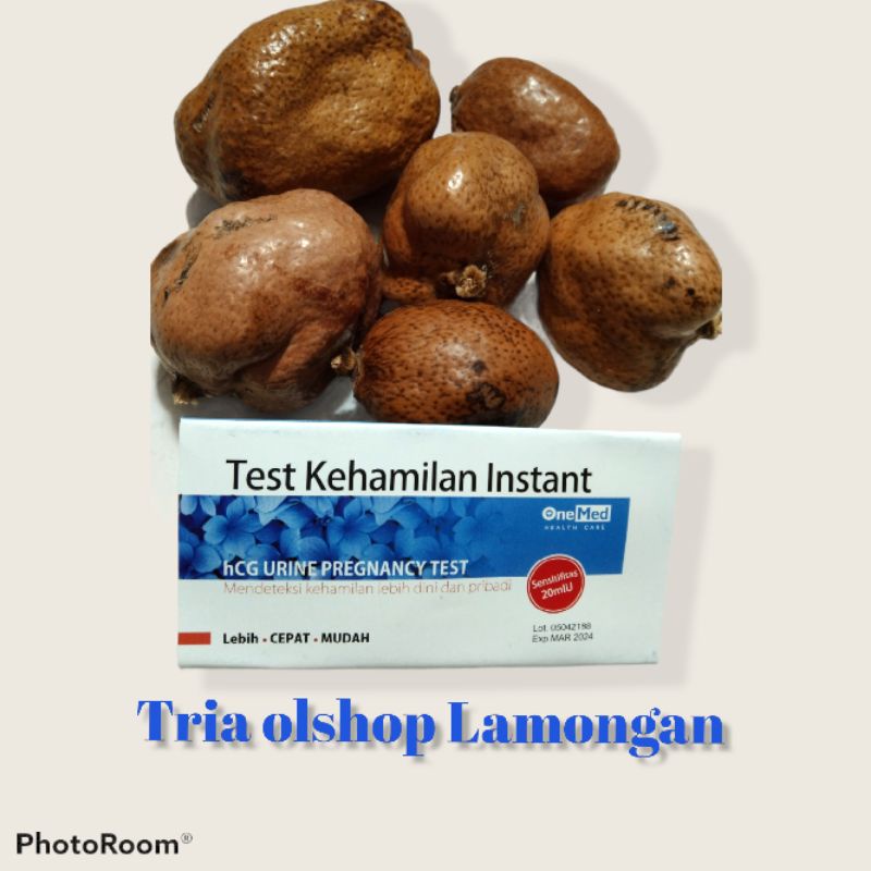 buah zuriat mesir