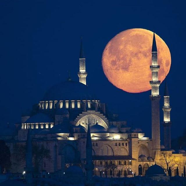 Scale Food Grade Measuring Cup Tea Spoon Measuring Spoon Kitchen  Accessories