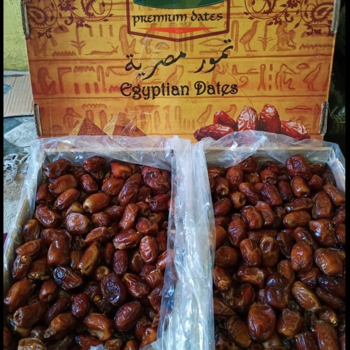 

Kurma Mesir Barari Curah / Kurma Mesir Curah