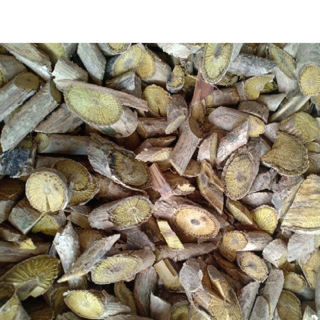 

Akar bajakah kuning asli kalimantan