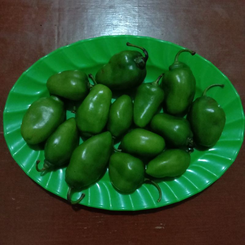 

Cabe gendot