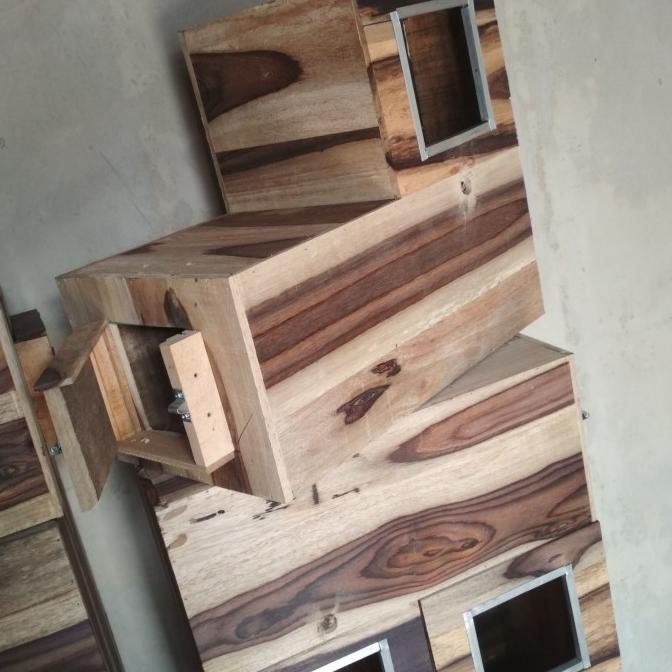 #@#@#@#@] glodok falk sunconer