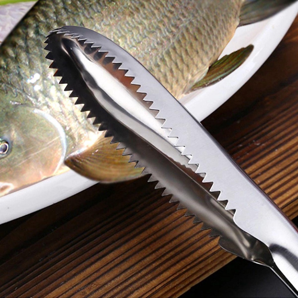 [Elegan] Fish Scaler Efisien Manual Remover Alat Pembersih Pengupas Kulit Ikan Sikat