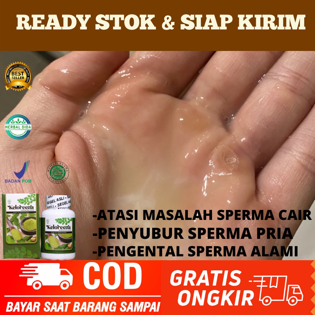 KELOREENA ORIGINAL, Obat Penyubur Sperma, Obat Sperma Encer, Obat Alami Katup Sperma, Obat Penambah 