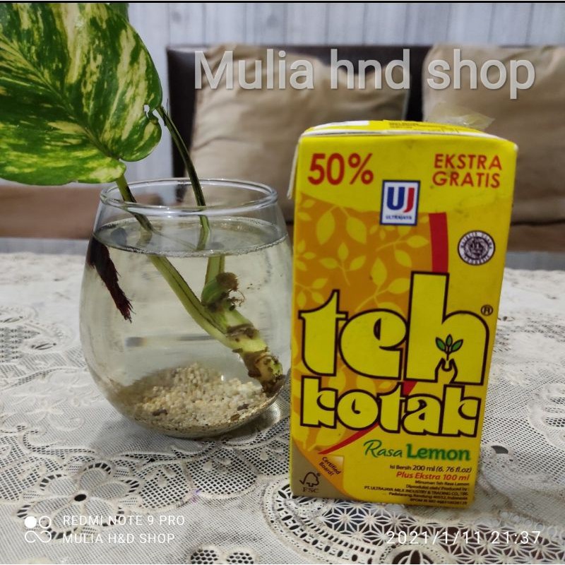 

Teh kotak Ultra Lemon 200ml