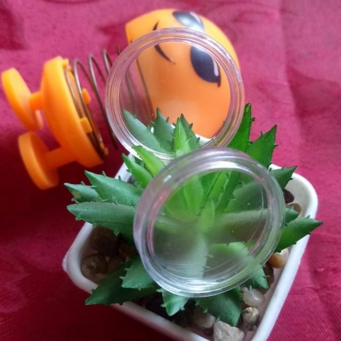 Kapsul Koin 16 mm untuk dirham seperti daniq imn