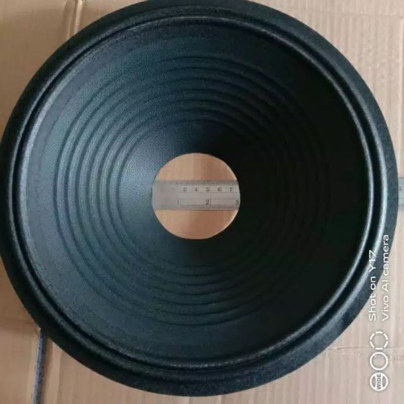Daun speaker 12 inch lubang 3 inch