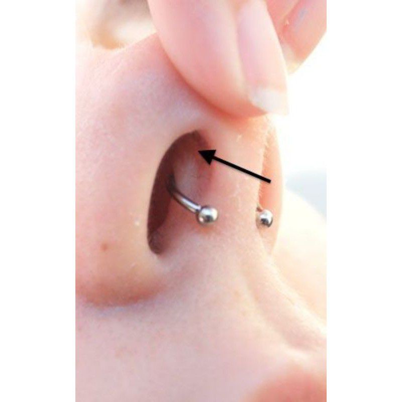 nose earrings, Anting Hidung, Anting Septum , Piercing Hidung