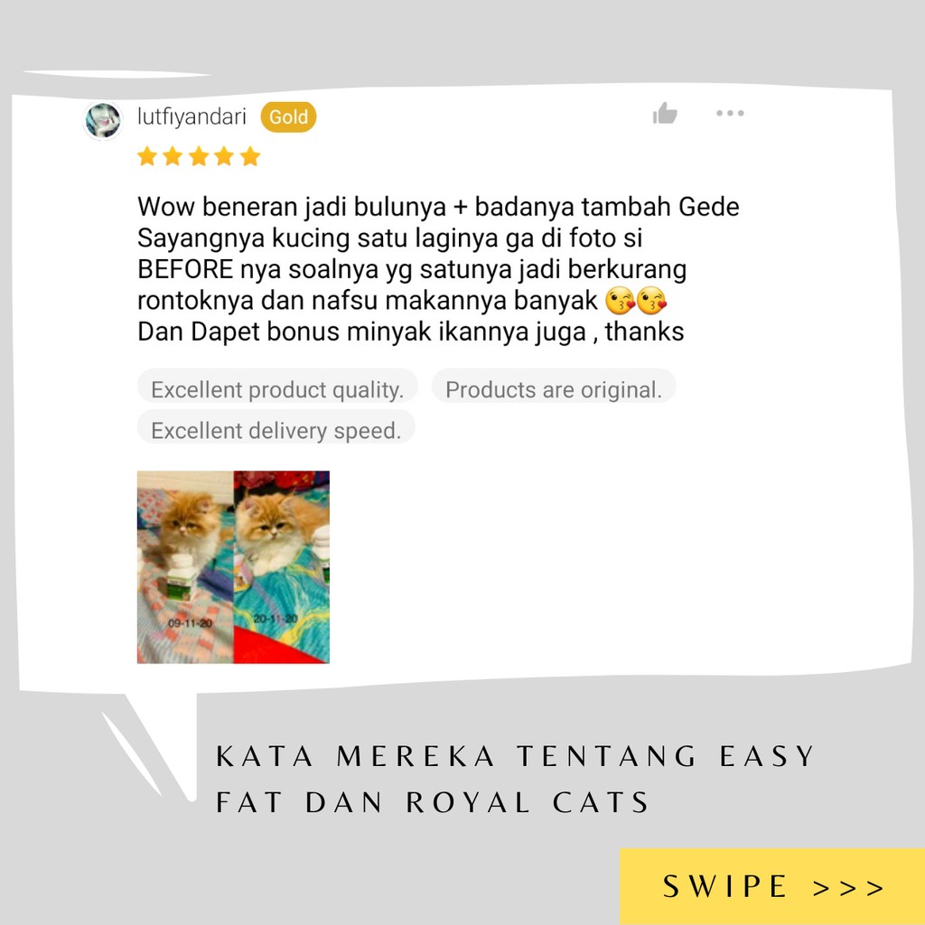 Vitamin Kucing Gemuk Gembul Easy Fat Penambah Nafsu Makan