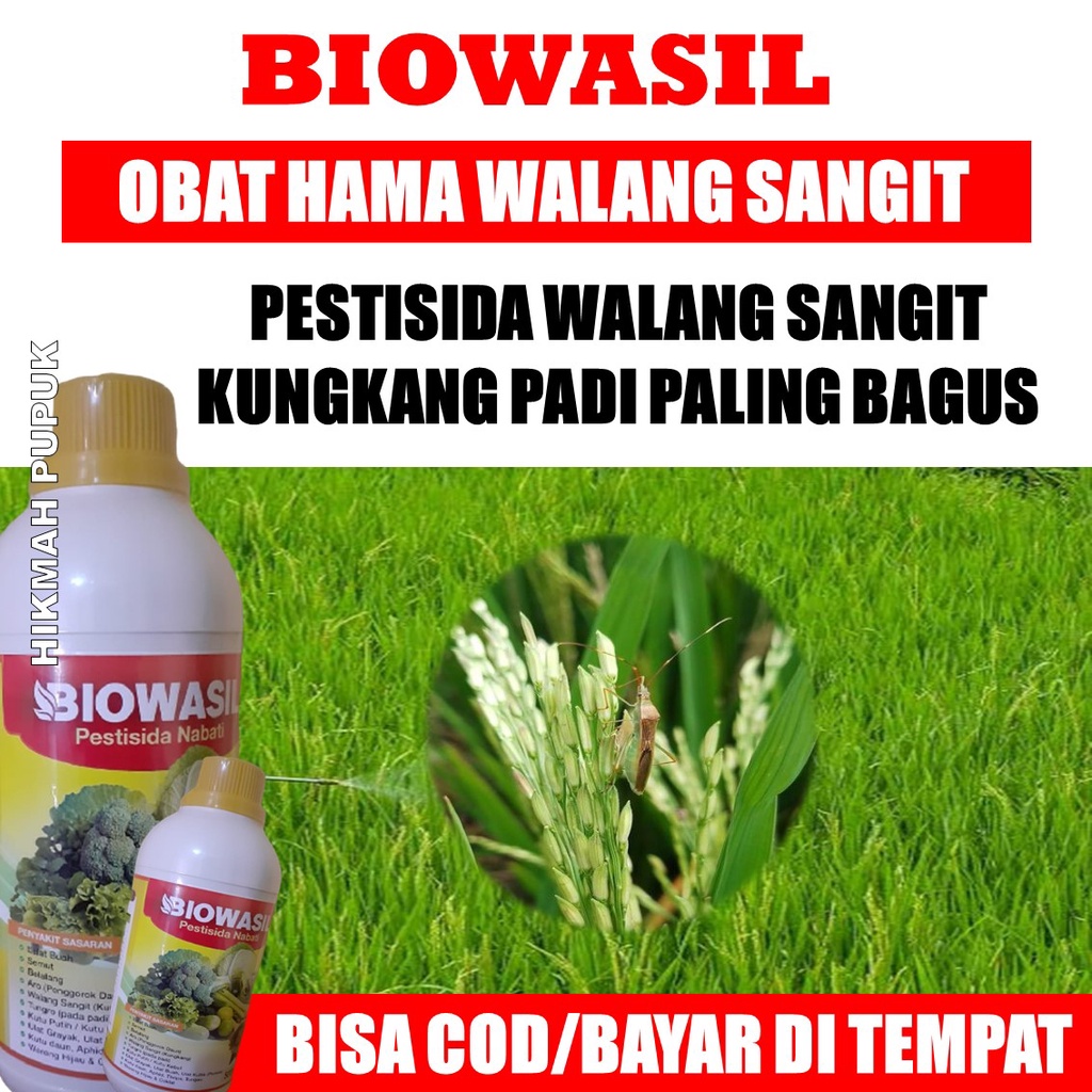 (PROMO) 500 ML Pupuk Pembasmi Hama Walang Sangit Ampuh BIOWASIL - Pupuk Padi Untuk Hama Walang Sangi