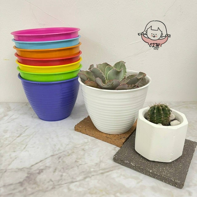 Pot Baby Tawon / Pot Kaktus Pot Sekulen Pot Mini Pot Bunga Kecil Pot Plastik