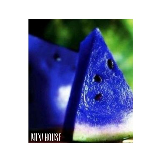 BIJI BIBIT BENIH SEMANGKA / SEMANGKA BIRU