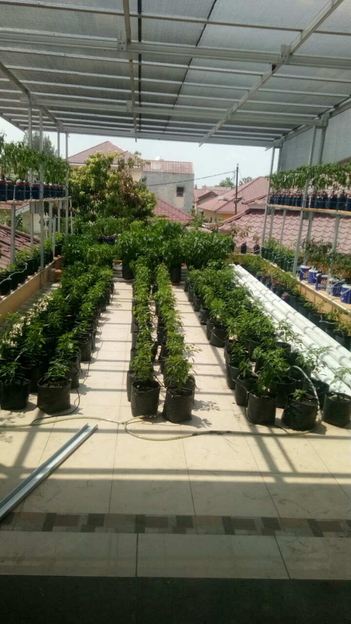 10 Pcs End Cap 3mm/5mm & 4mm/7mm