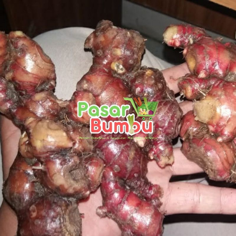

Red ginger jahe merah full size super 1kg