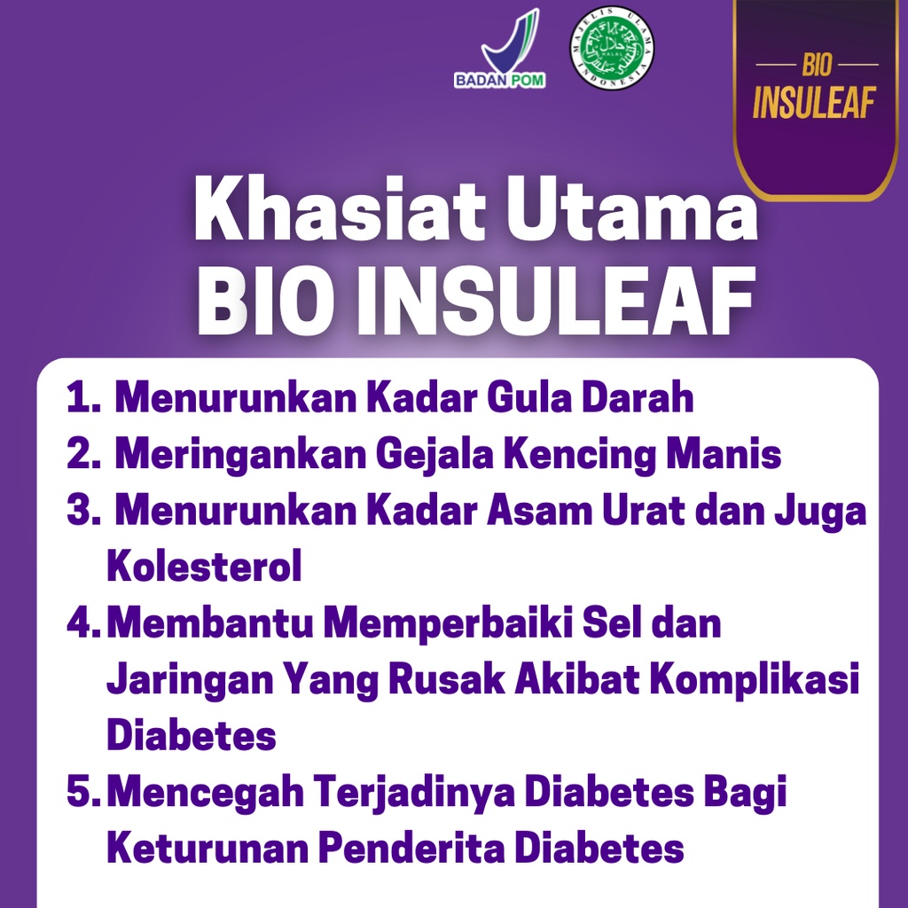 BIO INSULEAF ORIGINAL Herbal Alami Turunkan Gula Darah - Ringankan Gejala Kencing Manis Solusi Atasi Gula Darah Tinggi 250ml