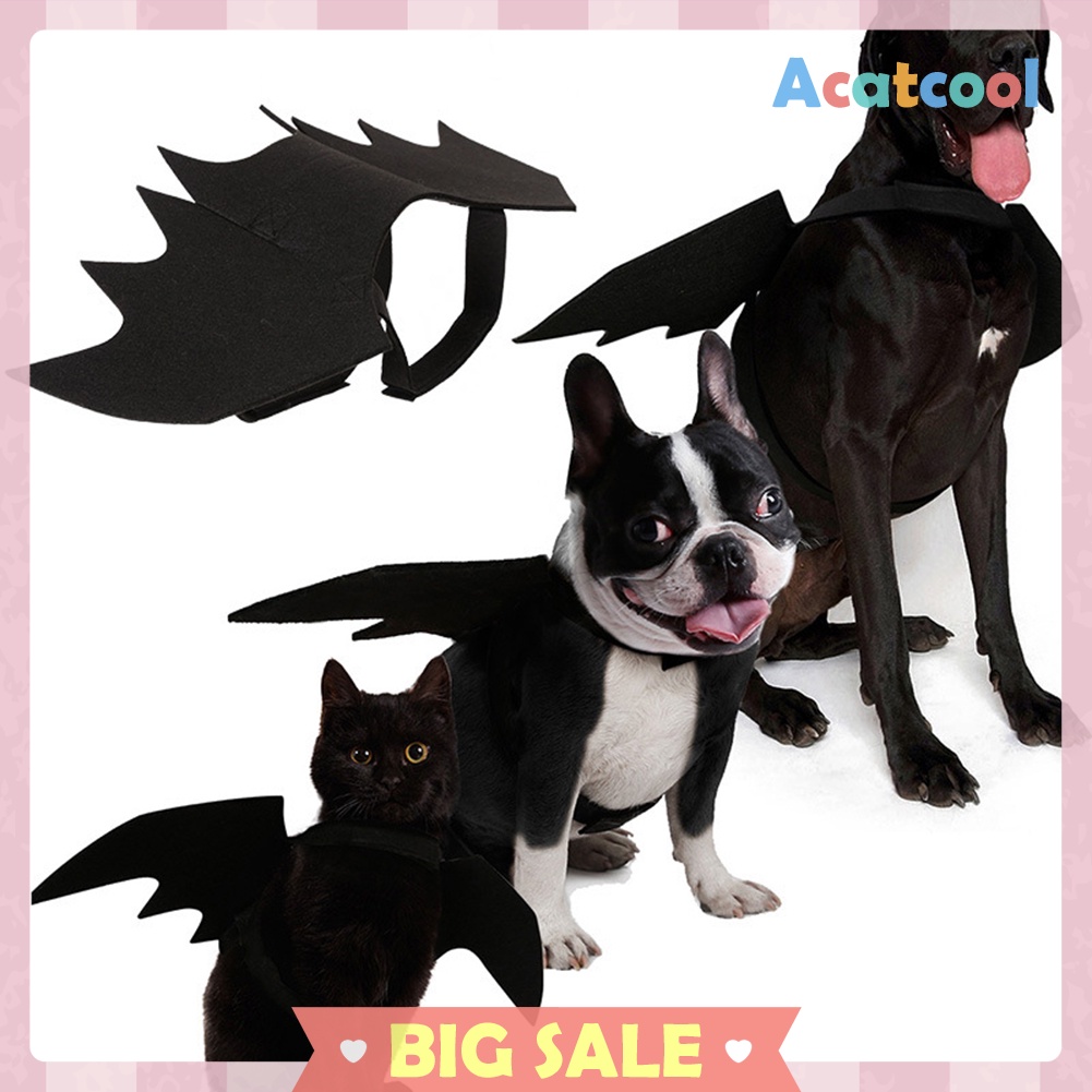 Pet Bat Wing Cosplay Prop Halloween Black Bat Fancy Dress up Costume Outfit